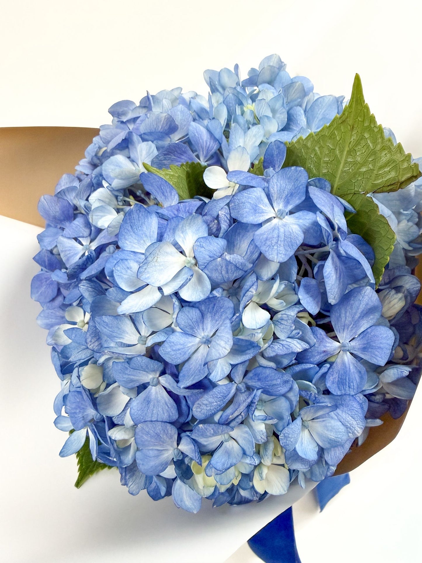 Hydrangea Bouquet