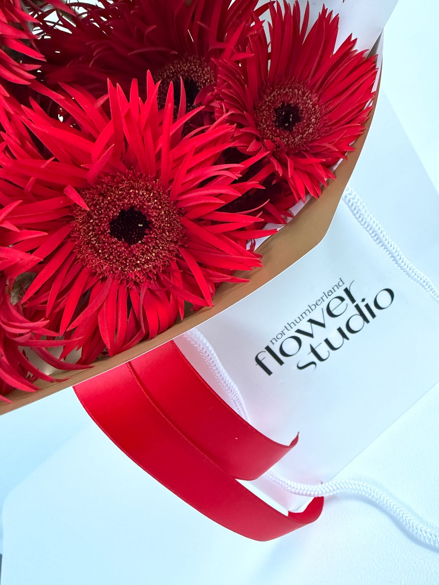 Just Daisies