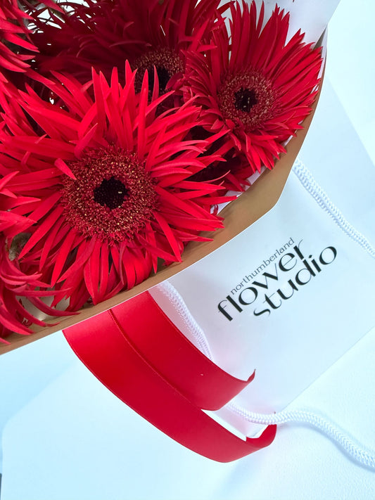 Just Daisies