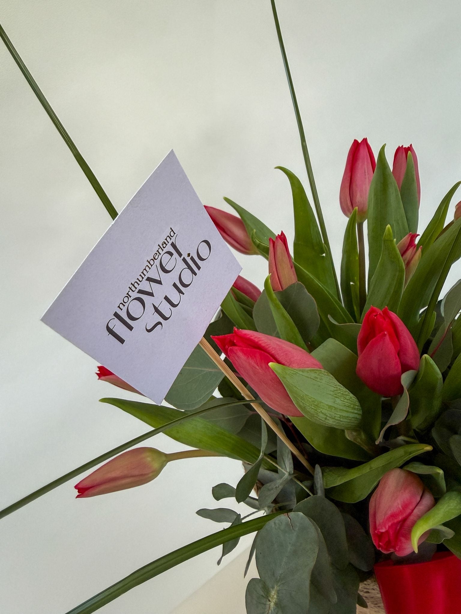 Bouquet of red tulips with a sign reading 'Northumberland Flower Studio' on a light background