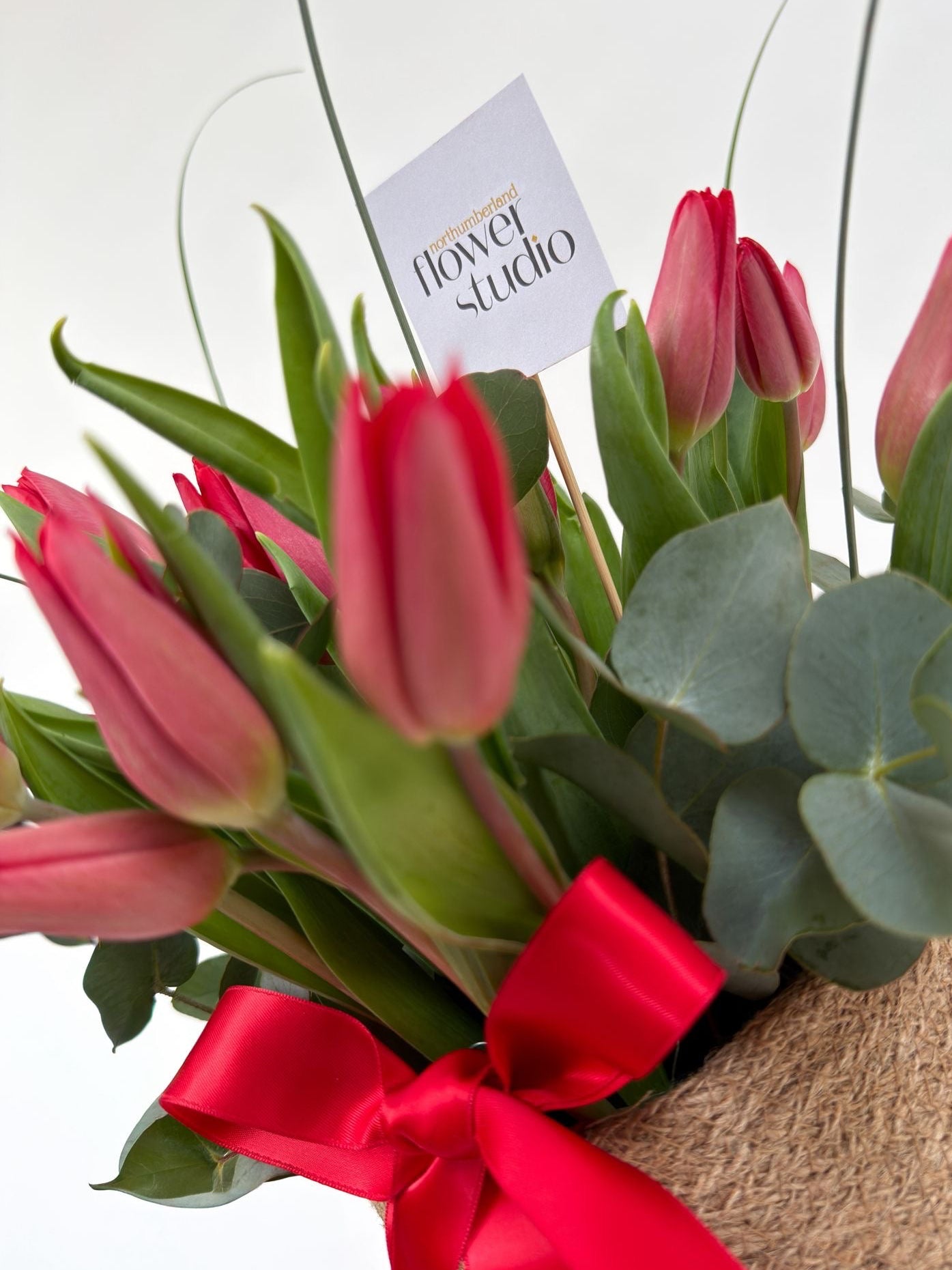 Bouquet of red tulips with a red ribbon and 'Northumberland Flower Studio' tag on a white background