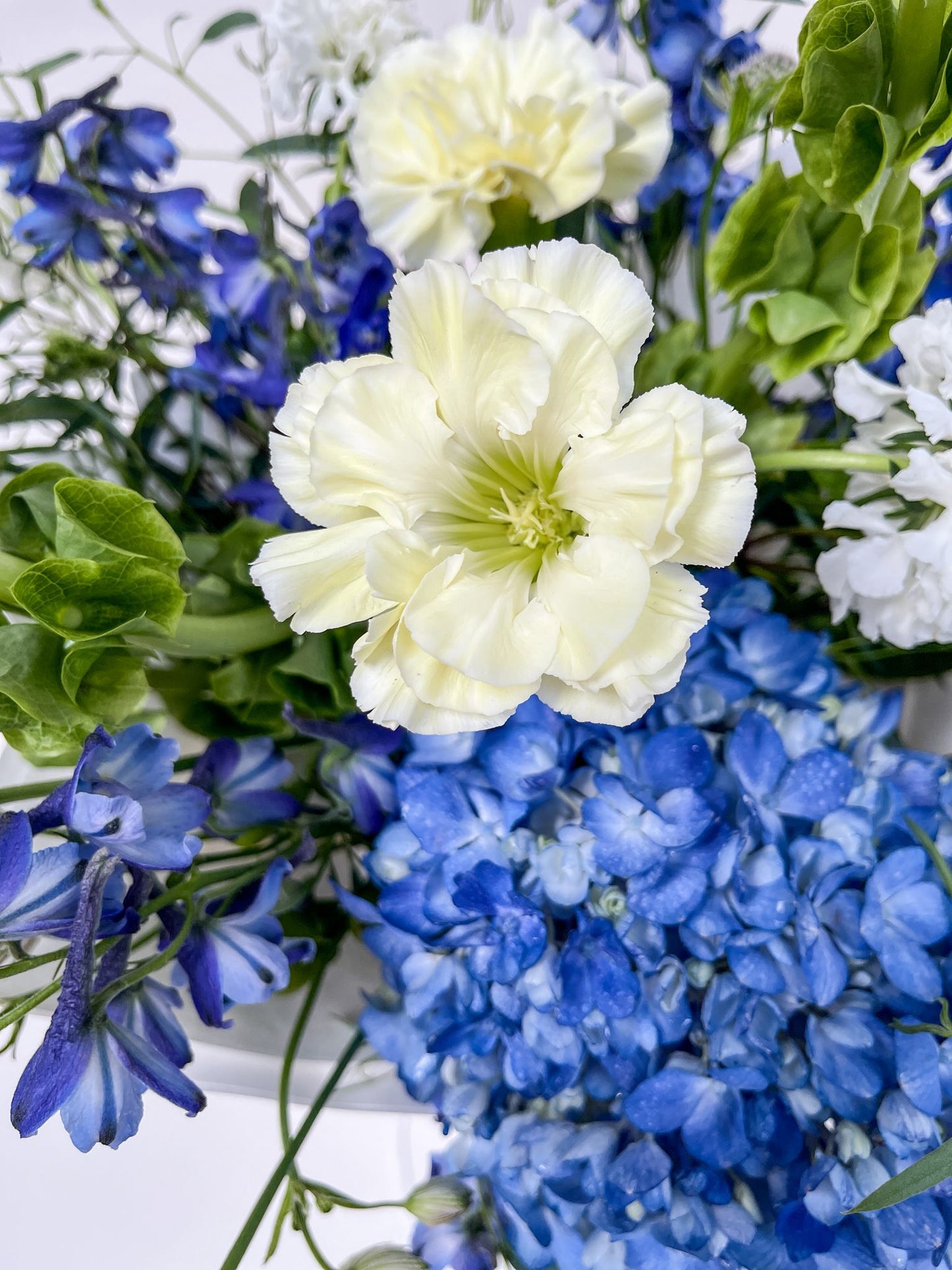 Bouquet of white and blue flowers with green leaves on a white background