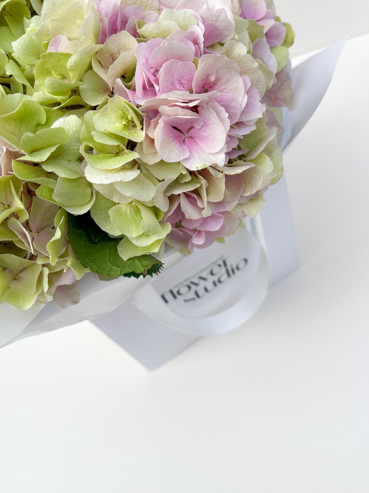 Bouquet of pink and green hydrangeas with a white card in the background