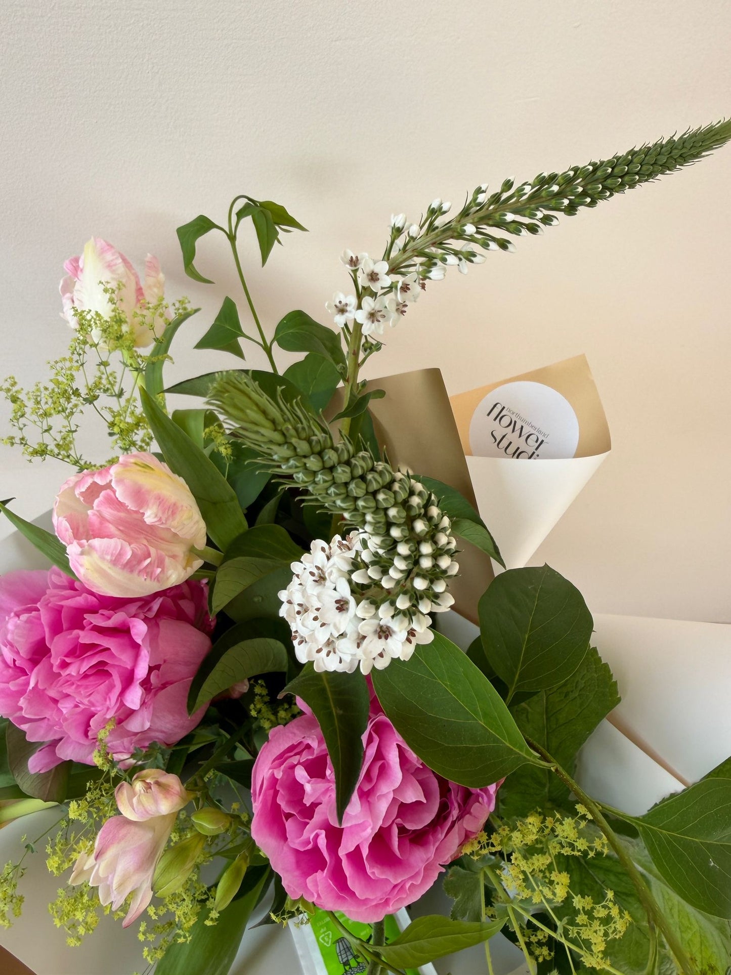 Bouquet of pink peonies and rulips with a gift card on a light background