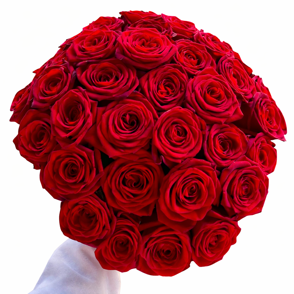 Bouquet of red roses on a white background